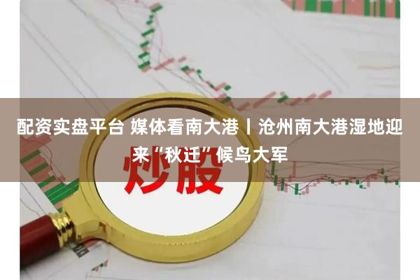 配资实盘平台 媒体看南大港丨沧州南大港湿地迎来“秋迁”候鸟大军