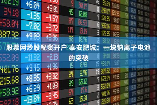 股票网炒股配资开户 泰安肥城：一块钠离子电池的突破