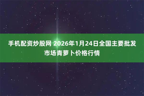 手机配资炒股网 2026年1月24日全国主要批发市场青萝卜价格行情