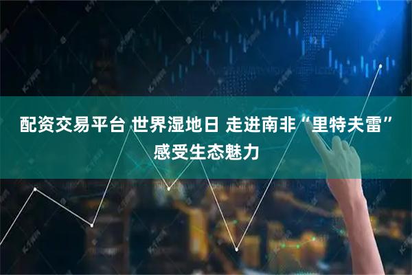 配资交易平台 世界湿地日 走进南非“里特夫雷”感受生态魅力